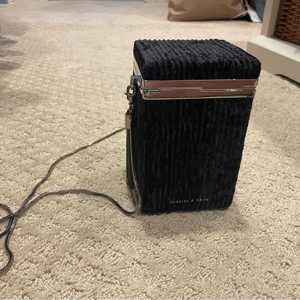 Stylish Charles & Keith case purse